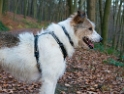 1111  Felix-SAM_0787-1-Kopie-Nr-2